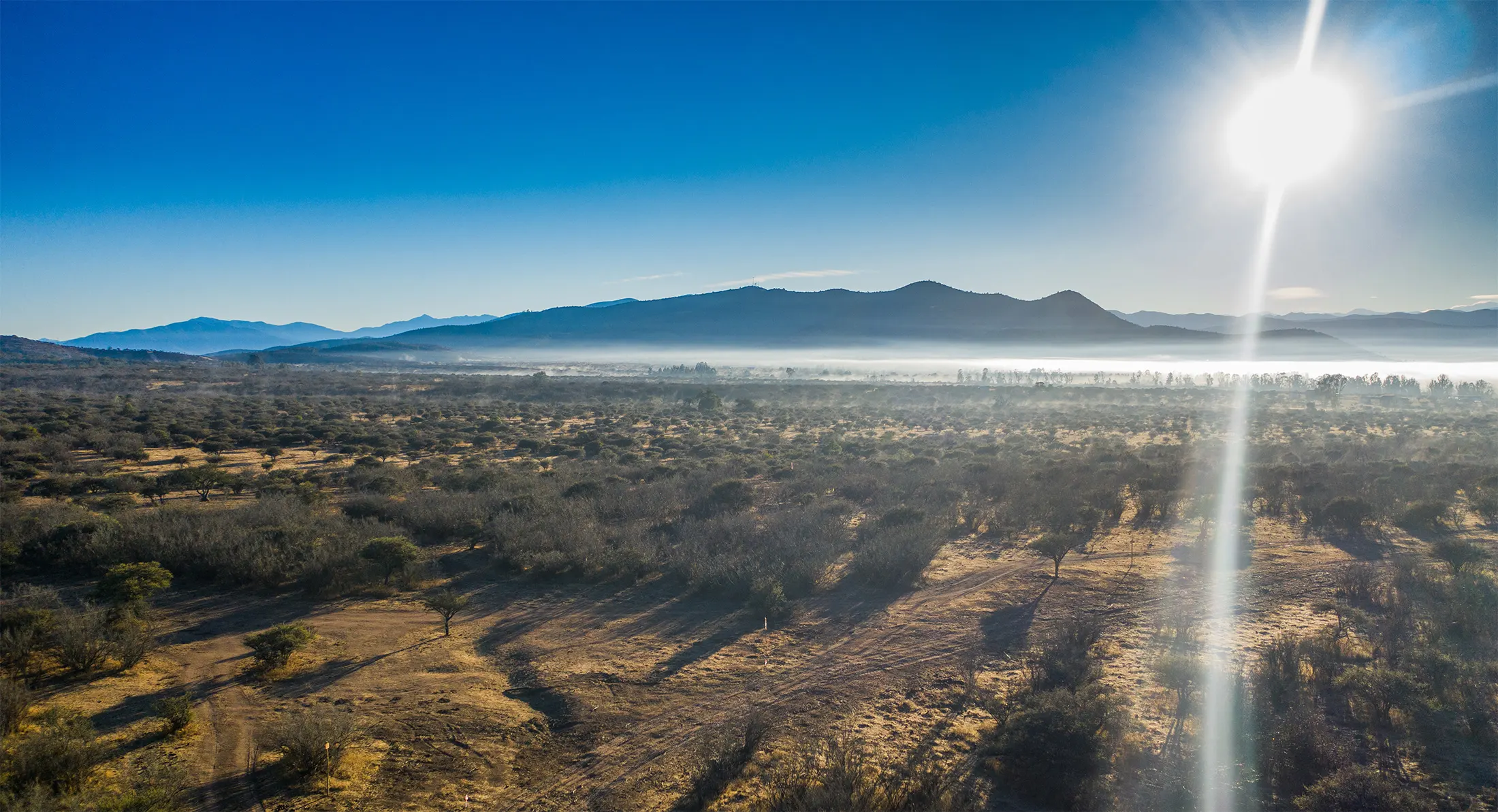 naturaleza catapilco